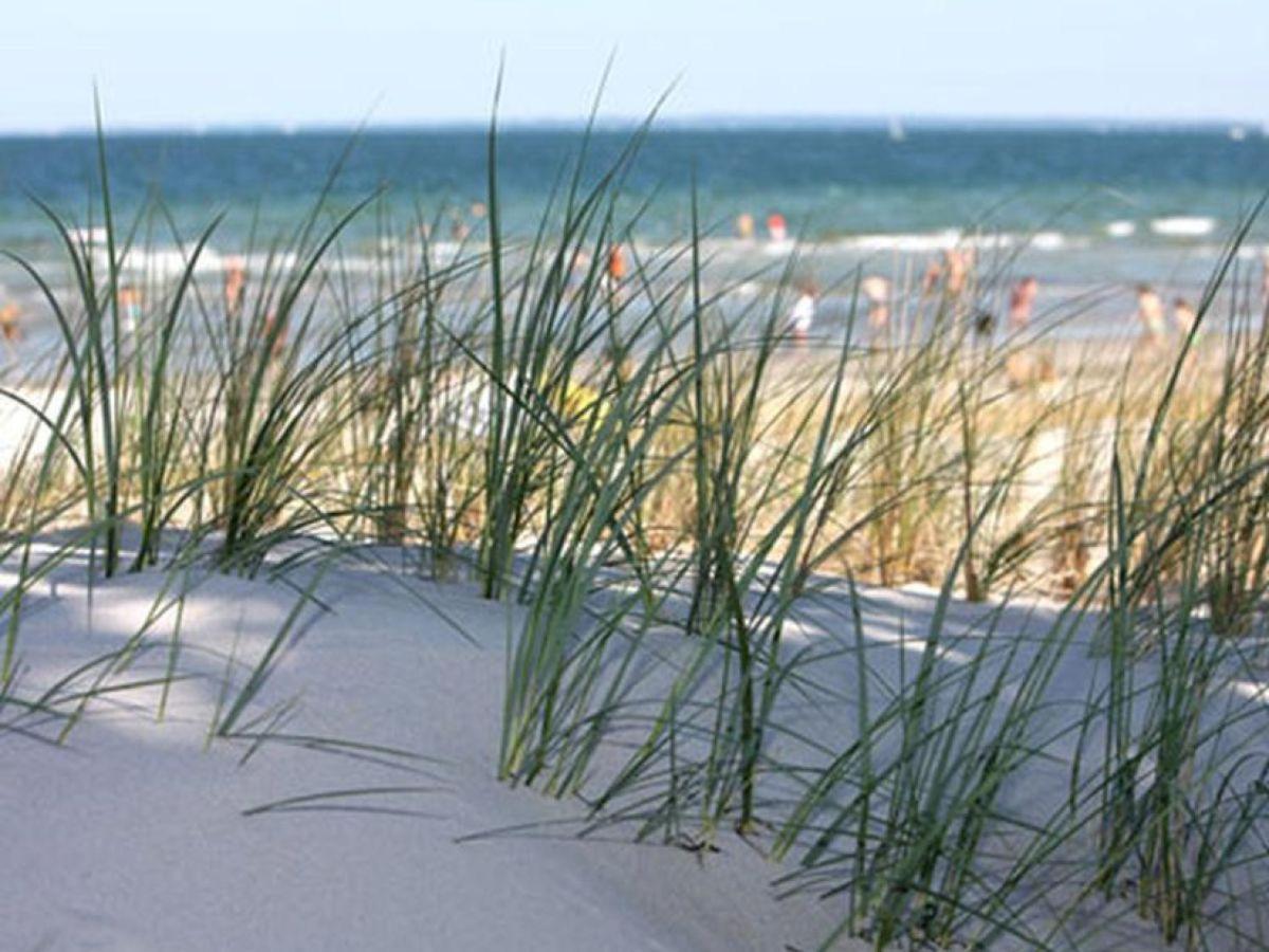 Apartment Altes Zollhaus Casa Sandstrand Scharbeutz